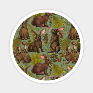 Rabbits and woodland flora Magnet